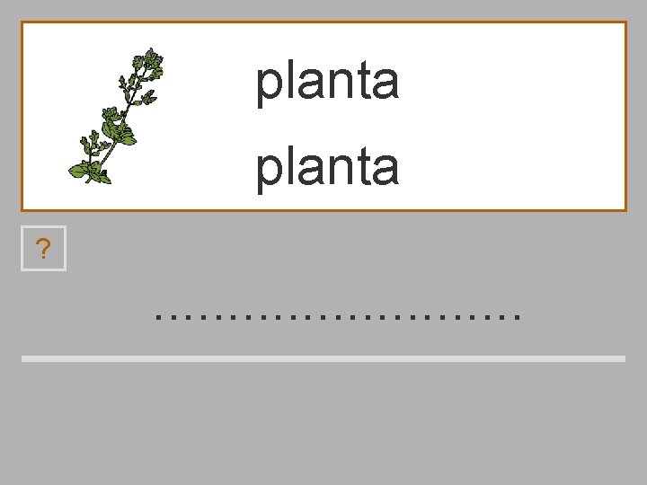 planta ? . . . p b l a m n c t 