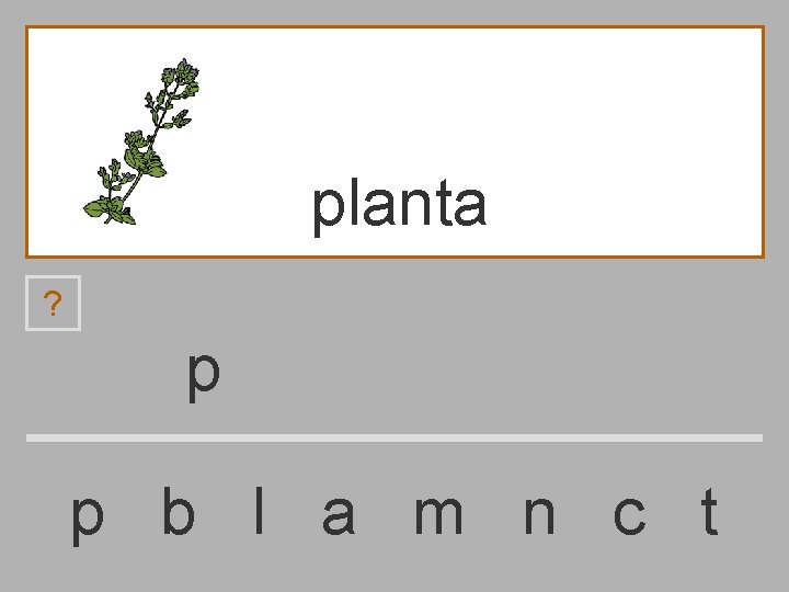 planta ? p p b l a m n c t 