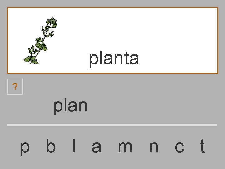 planta ? plan p b l a m n c t 