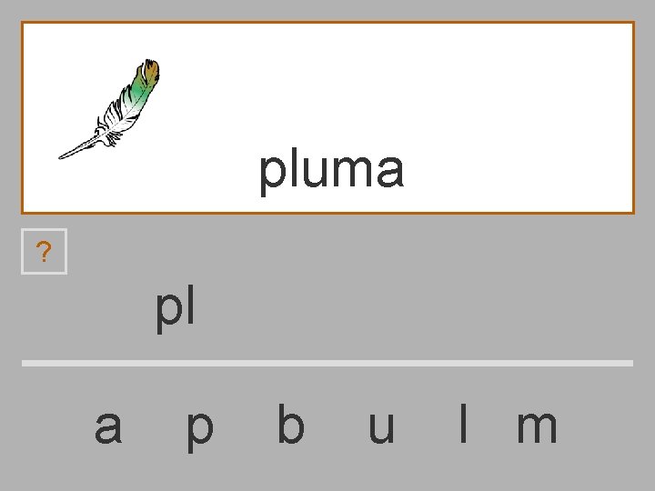 pluma ? pl a p b u l m 