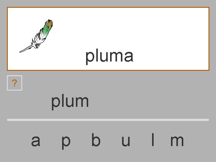pluma ? plum a p b u l m 