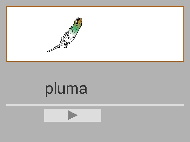 pluma 