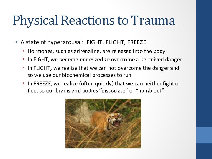 Physical Reactions to Trauma • A state of hyperarousal: FIGHT, FLIGHT, FREEZE • Hormones,