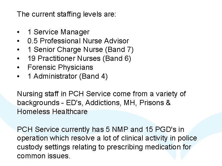 The current staffing levels are: • • • 1 Service Manager 0. 5 Professional