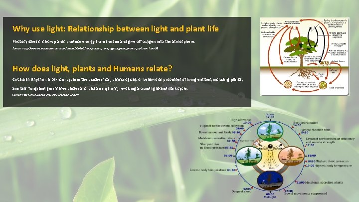 Why use light: Relationship between light and plant life Photosynthesis is how plants produce