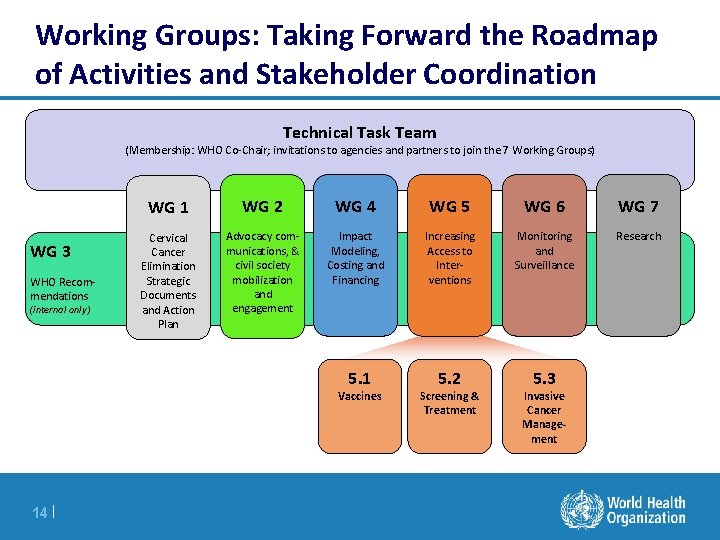 Working Groups: Taking Forward the Roadmap of Activities and Stakeholder Coordination Technical Task Team