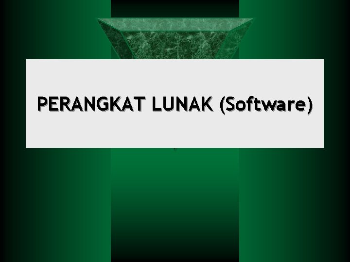 PERANGKAT LUNAK (Software) 