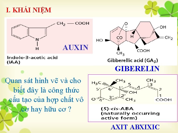 I. KHÁI NIỆM AUXIN GIBERELIN Quan sát hình vẽ và cho biết đây là