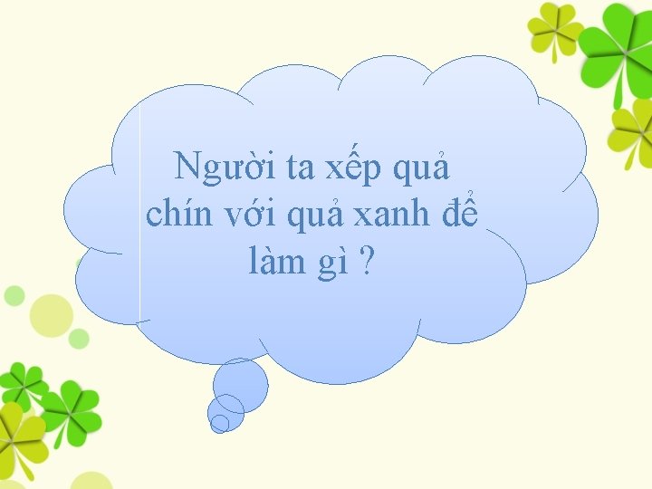 Người ta xếp quả chín với quả xanh để làm gì ? 