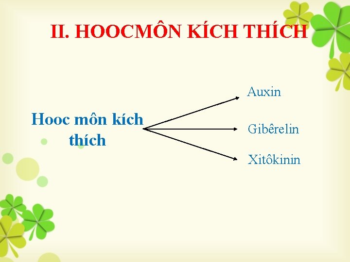 II. HOOCMÔN KÍCH THÍCH Auxin Hooc môn kích thích Gibêrelin Xitôkinin 