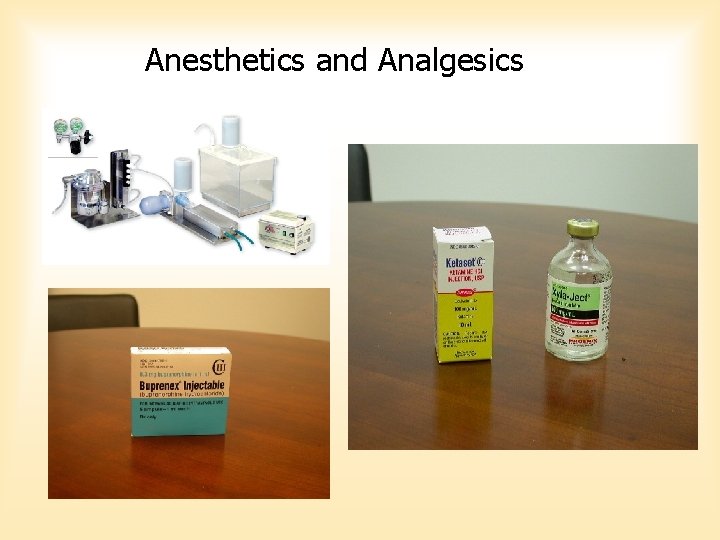 Anesthetics and Analgesics Anesthetics and Analgesics