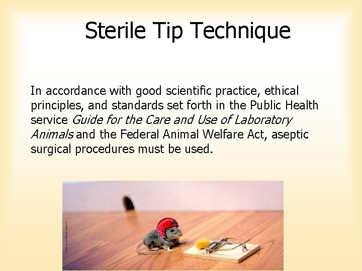 Sterile Tip Technique In accordance with good scientific practice, ethical principles, and standards set Sterile Tip Technique In accordance with good scientific practice, ethical principles, and standards set