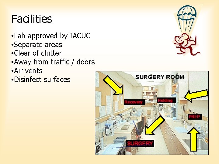 Facilities • Lab approved by IACUC • Separate areas • Clear of clutter • Facilities • Lab approved by IACUC • Separate areas • Clear of clutter •