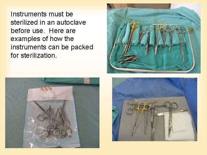 Instruments must be sterilized in an autoclave before use. Here are examples of how Instruments must be sterilized in an autoclave before use. Here are examples of how