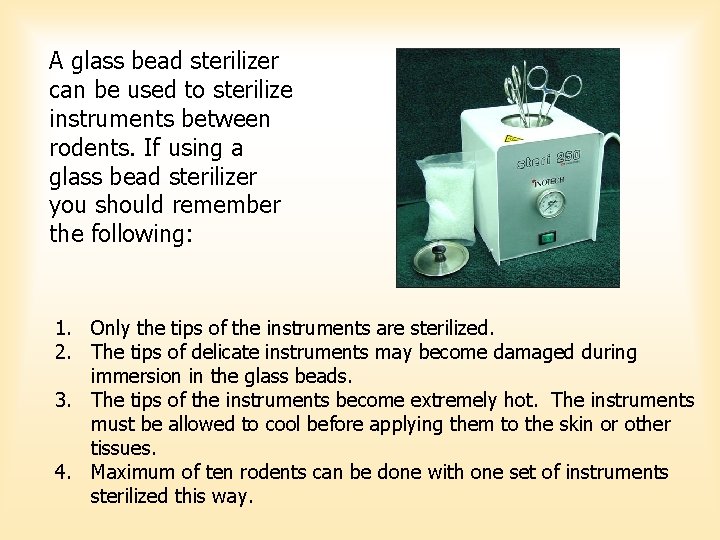 A glass bead sterilizer can be used to sterilize instruments between rodents. If using A glass bead sterilizer can be used to sterilize instruments between rodents. If using