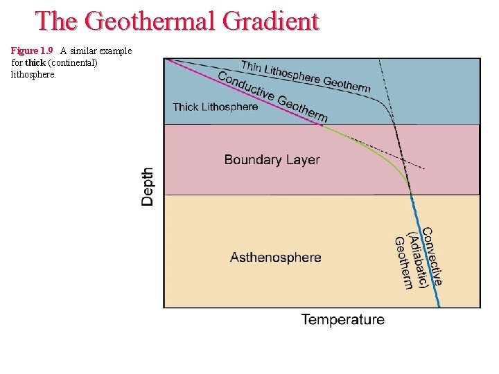 The Geothermal Gradient Figure 1. 9 A similar example for thick (continental) lithosphere. The Geothermal Gradient Figure 1. 9 A similar example for thick (continental) lithosphere.