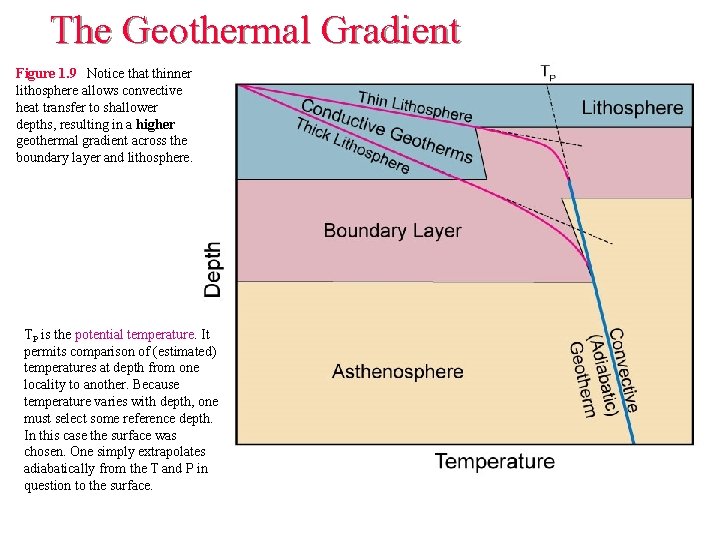 The Geothermal Gradient Figure 1. 9 Notice that thinner lithosphere allows convective heat transfer The Geothermal Gradient Figure 1. 9 Notice that thinner lithosphere allows convective heat transfer
