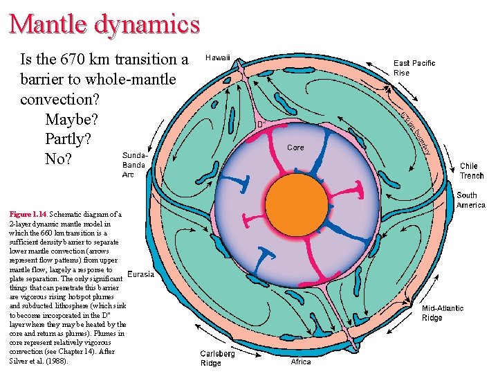 Mantle dynamics Is the 670 km transition a barrier to whole-mantle convection? Maybe? Partly? Mantle dynamics Is the 670 km transition a barrier to whole-mantle convection? Maybe? Partly?