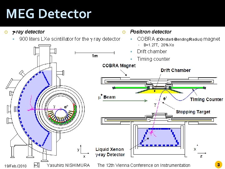 MEG Detector g-ray detector 900 liters LXe scintillator for the g ray detector Positron