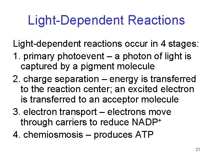 Light-Dependent Reactions Light-dependent reactions occur in 4 stages: 1. primary photoevent – a photon Light-Dependent Reactions Light-dependent reactions occur in 4 stages: 1. primary photoevent – a photon