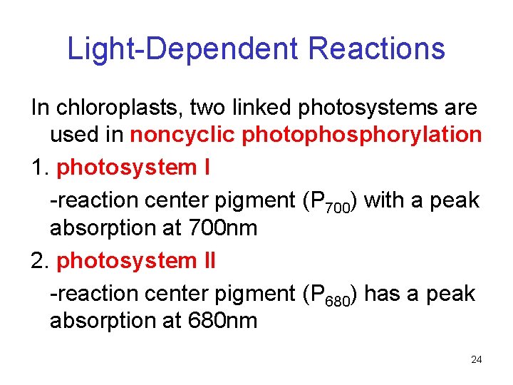 Light-Dependent Reactions In chloroplasts, two linked photosystems are used in noncyclic photophosphorylation 1. photosystem Light-Dependent Reactions In chloroplasts, two linked photosystems are used in noncyclic photophosphorylation 1. photosystem