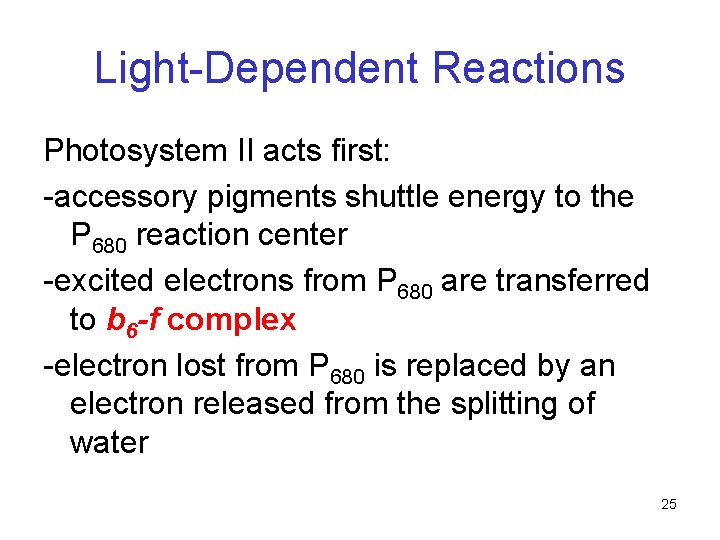 Light-Dependent Reactions Photosystem II acts first: -accessory pigments shuttle energy to the P 680 Light-Dependent Reactions Photosystem II acts first: -accessory pigments shuttle energy to the P 680