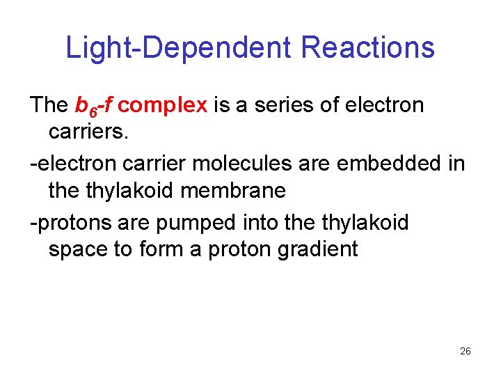 Light-Dependent Reactions The b 6 -f complex is a series of electron carriers. -electron Light-Dependent Reactions The b 6 -f complex is a series of electron carriers. -electron