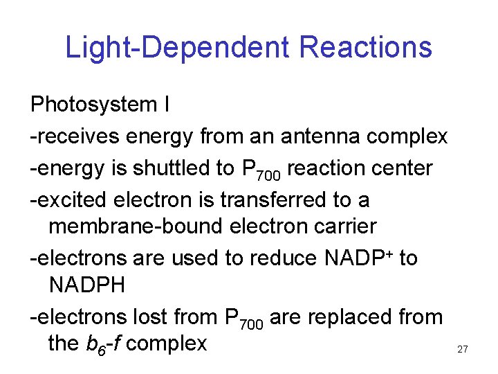 Light-Dependent Reactions Photosystem I -receives energy from an antenna complex -energy is shuttled to Light-Dependent Reactions Photosystem I -receives energy from an antenna complex -energy is shuttled to