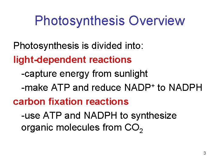 Photosynthesis Overview Photosynthesis is divided into: light-dependent reactions -capture energy from sunlight -make ATP Photosynthesis Overview Photosynthesis is divided into: light-dependent reactions -capture energy from sunlight -make ATP