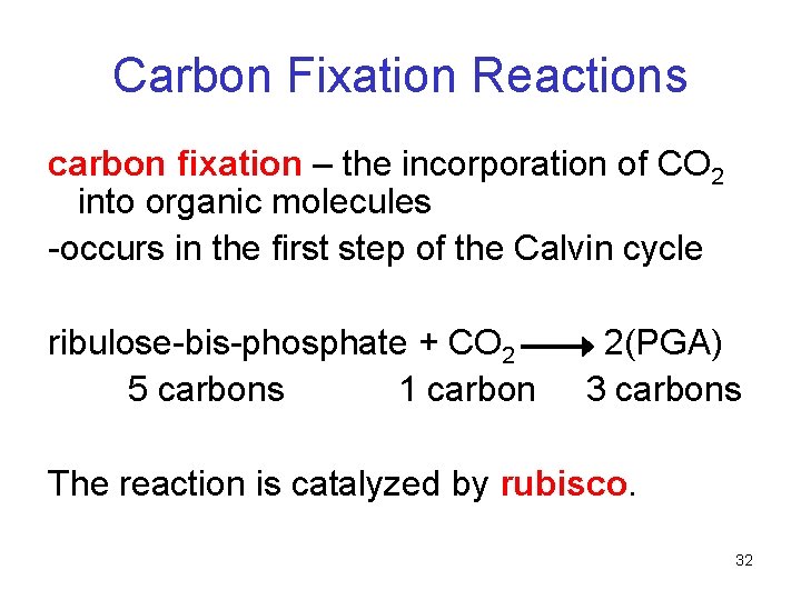 Carbon Fixation Reactions carbon fixation – the incorporation of CO 2 into organic molecules Carbon Fixation Reactions carbon fixation – the incorporation of CO 2 into organic molecules