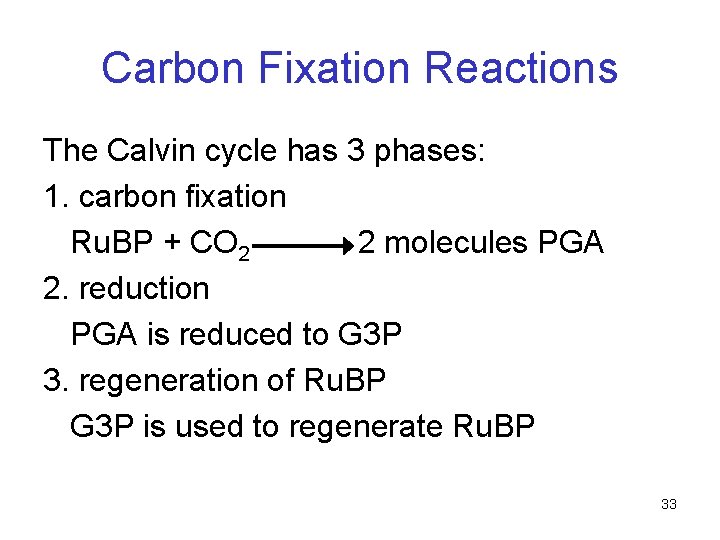 Carbon Fixation Reactions The Calvin cycle has 3 phases: 1. carbon fixation Ru. BP Carbon Fixation Reactions The Calvin cycle has 3 phases: 1. carbon fixation Ru. BP