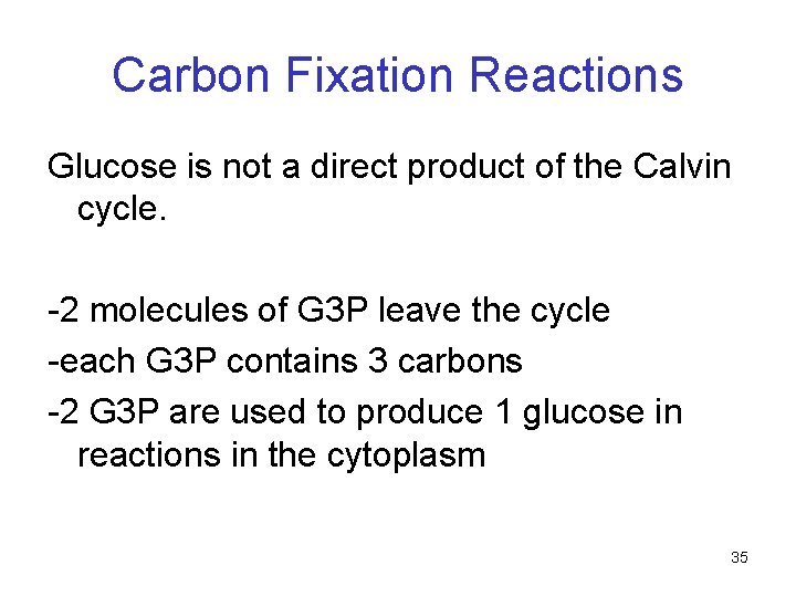 Carbon Fixation Reactions Glucose is not a direct product of the Calvin cycle. -2 Carbon Fixation Reactions Glucose is not a direct product of the Calvin cycle. -2