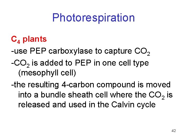 Photorespiration C 4 plants -use PEP carboxylase to capture CO 2 -CO 2 is Photorespiration C 4 plants -use PEP carboxylase to capture CO 2 -CO 2 is
