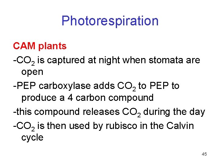 Photorespiration CAM plants -CO 2 is captured at night when stomata are open -PEP Photorespiration CAM plants -CO 2 is captured at night when stomata are open -PEP