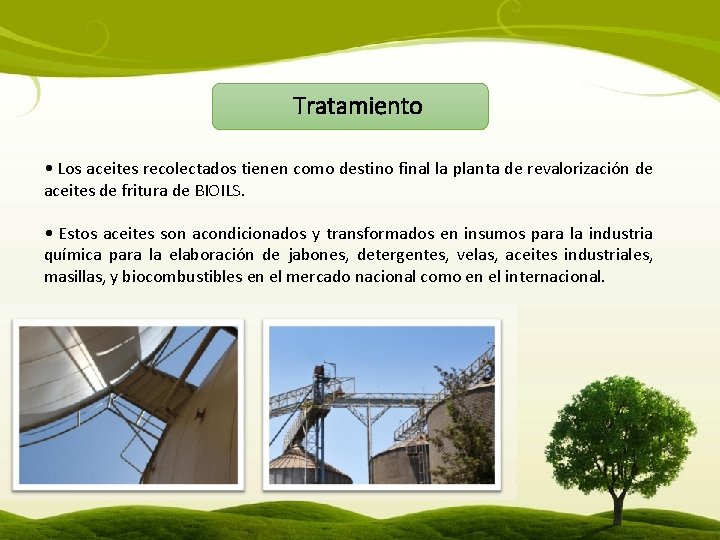 Tratamiento • Los aceites recolectados tienen como destino final la planta de revalorización de