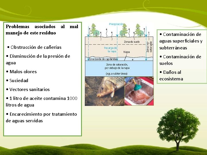 Problemas asociados al manejo de este residuo mal • Obstrucción de cañerías • Contaminación