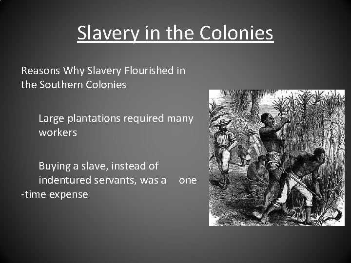 Slavery in the Colonies Reasons Why Slavery Flourished in the Southern Colonies Large plantations Slavery in the Colonies Reasons Why Slavery Flourished in the Southern Colonies Large plantations