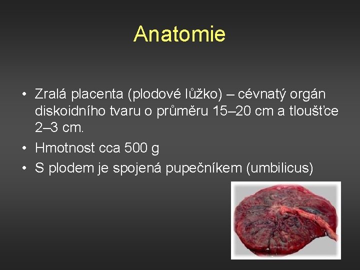 Anatomie • Zralá placenta (plodové lůžko) – cévnatý orgán diskoidního tvaru o průměru 15–