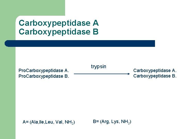 Carboxypeptidase A Carboxypeptidase B Pro. Carboxypeptidase A. Pro. Carboxypeptidase B. A= (Ala, lle, Leu, Carboxypeptidase A Carboxypeptidase B Pro. Carboxypeptidase A. Pro. Carboxypeptidase B. A= (Ala, lle, Leu,