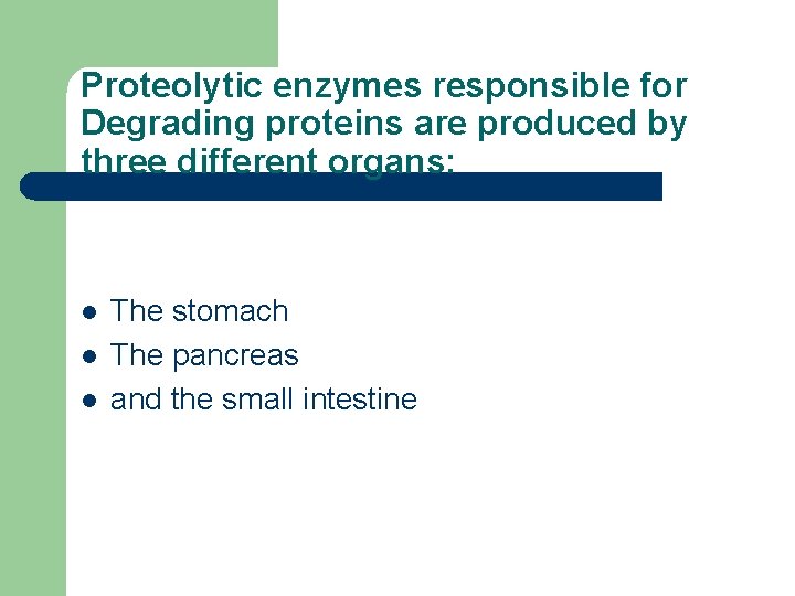 Proteolytic enzymes responsible for Degrading proteins are produced by three different organs: l l