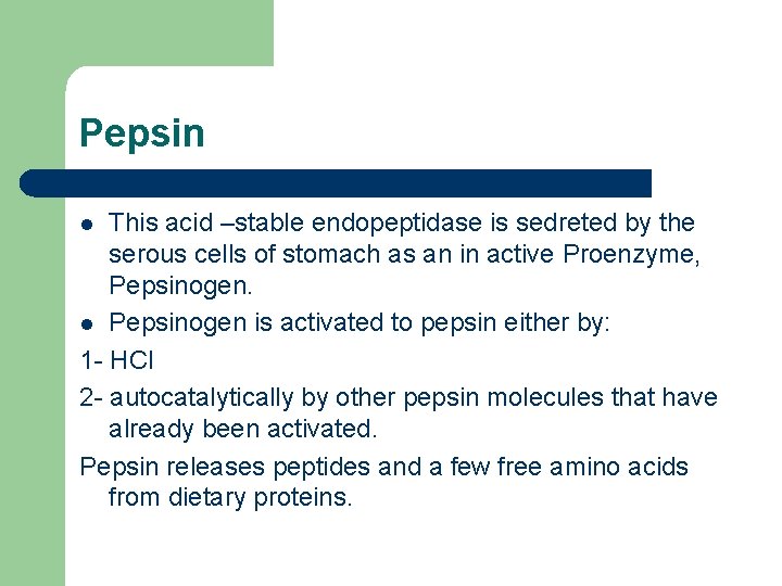 Pepsin This acid –stable endopeptidase is sedreted by the serous cells of stomach as