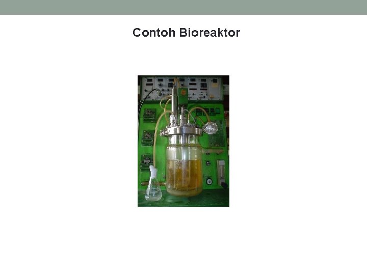 Contoh Bioreaktor 