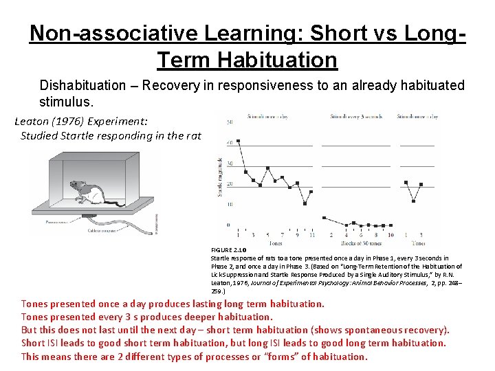 Non-associative Learning: Short vs Long. Term Habituation Dishabituation – Recovery in responsiveness to an
