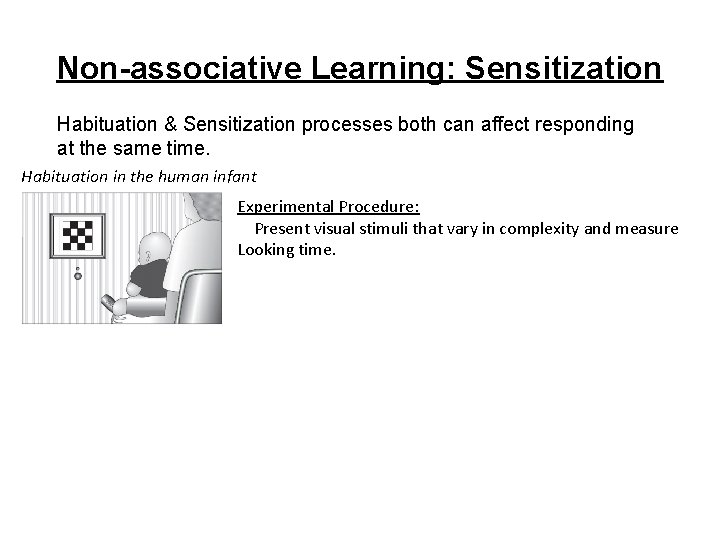 Non-associative Learning: Sensitization Habituation & Sensitization processes both can affect responding at the same