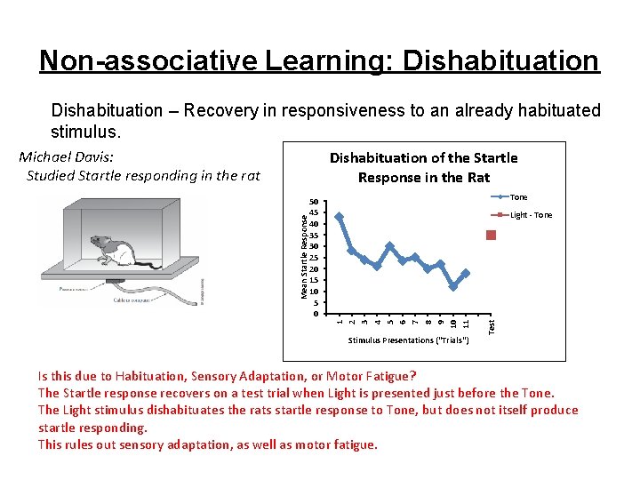 Non-associative Learning: Dishabituation – Recovery in responsiveness to an already habituated stimulus. Michael Davis: