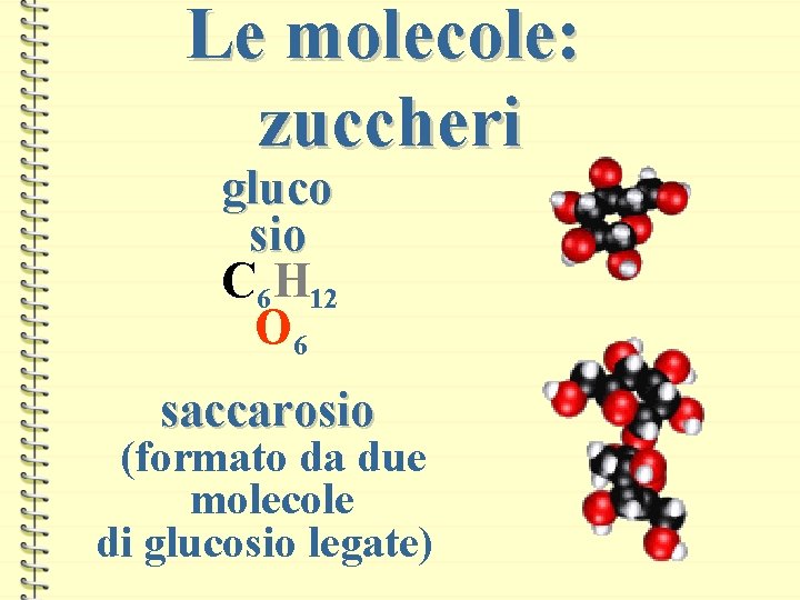 Le molecole: zuccheri gluco sio C 6 H 12 O 6 saccarosio (formato da