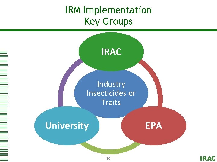 IRM Click to Implementation edit Master title style Key Groups IRAC Industry Insecticides or
