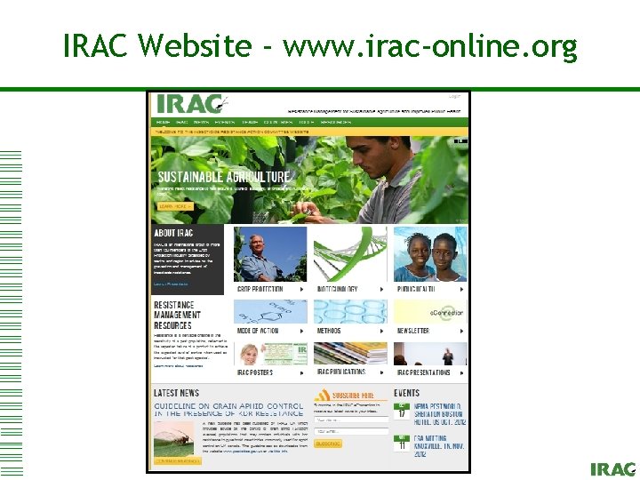 Click to edit Master title style IRAC Website - www. irac-online. org 