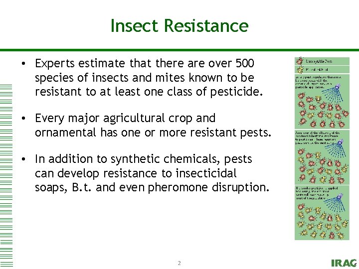 Click to edit Resistance Master title style Insect • Experts estimate that there are