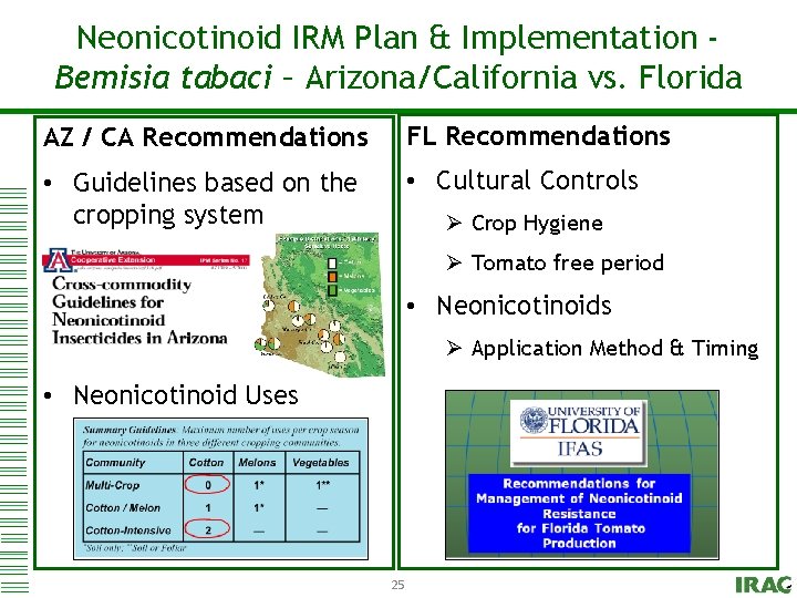 Neonicotinoid & Implementation Click to. IRM edit. Plan Master title style Bemisia tabaci –